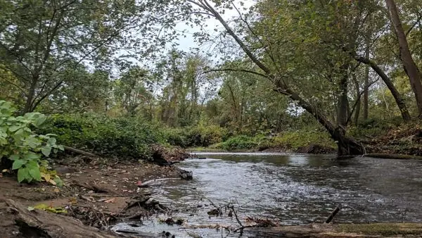 The River, photo 12 of 46