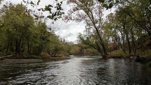 The River, photo 13 of 46