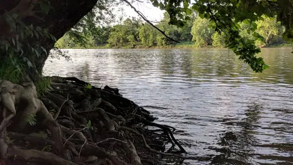 The River, photo 20 of 46
