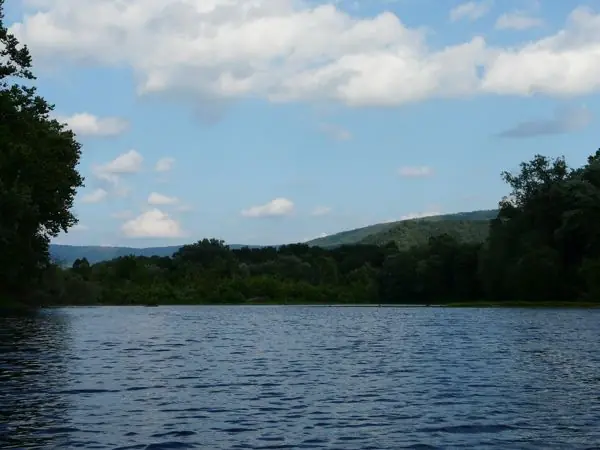The River, photo 21 of 46