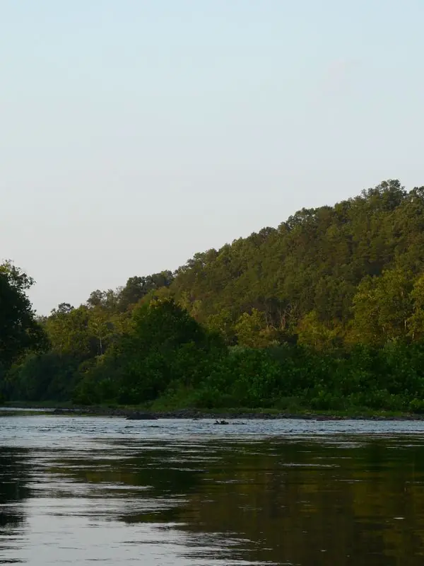 The River, photo 25 of 46
