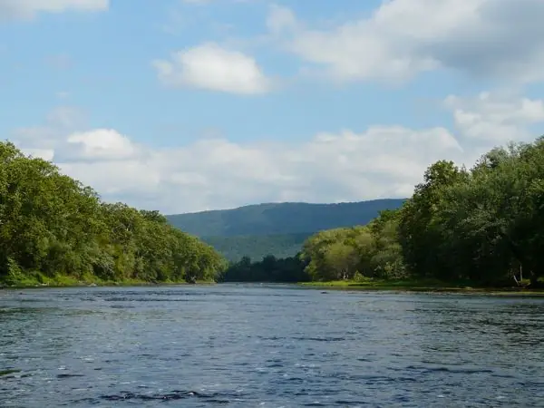 The River, photo 27 of 46