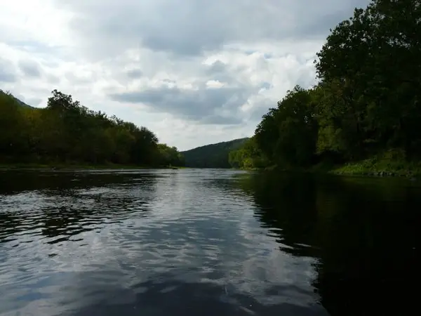The River, photo 28 of 46