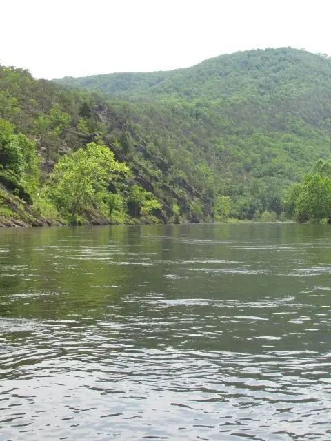 The River, photo 29 of 46