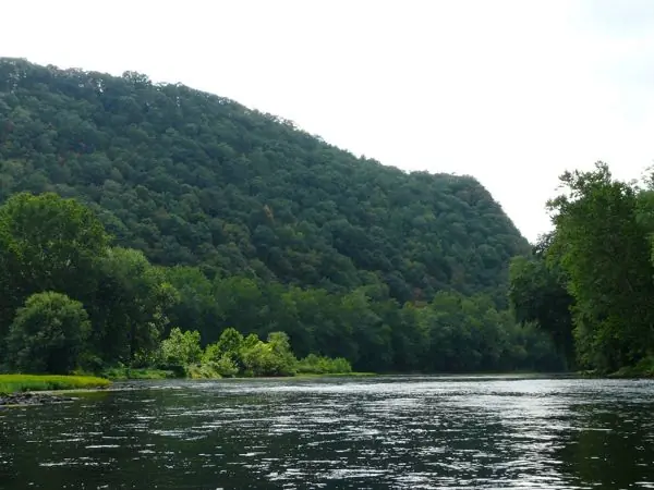The River, photo 30 of 46