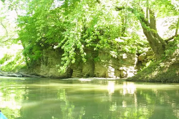 The River, photo 34 of 46