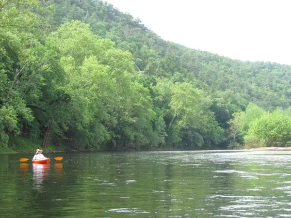 The River, photo 37 of 46