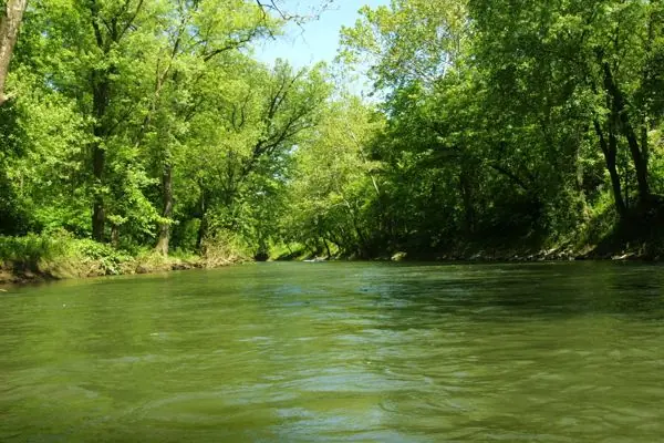 The River, photo 41 of 46
