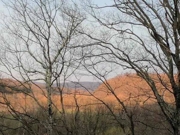 The View, photo 2 of 100
