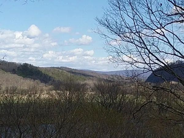 The View, photo 3 of 100
