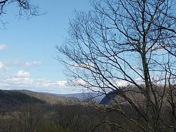 The View, photo 4 of 100