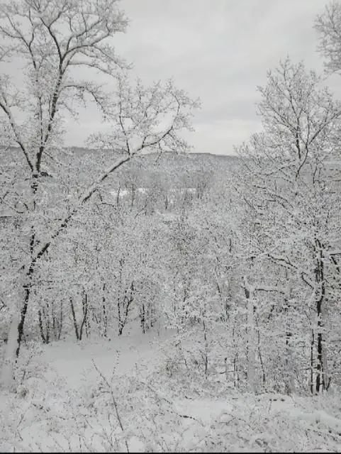 The View, photo 5 of 100