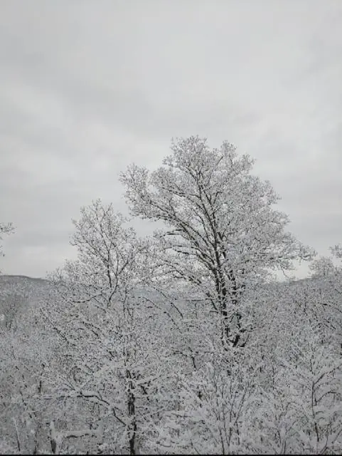 The View, photo 6 of 100