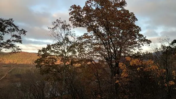 The View, photo 8 of 100