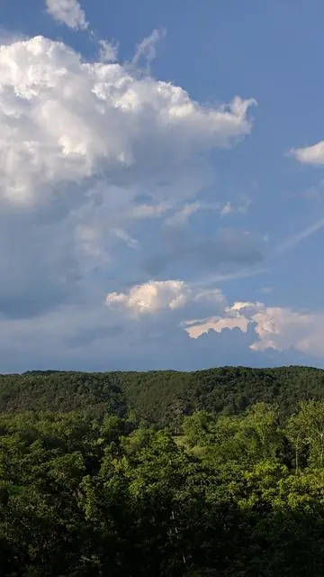 The View, photo 11 of 100