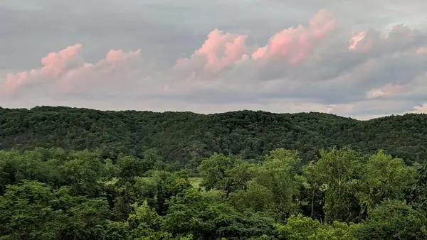 The View, photo 43 of 100