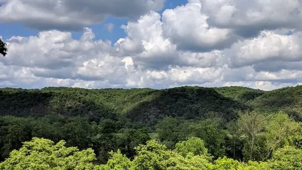 The View, photo 74 of 100