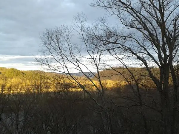 The View, photo 82 of 100
