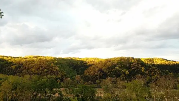 The View, photo 92 of 100