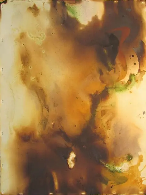 Abstract Natural #2 Abstract Natural #2