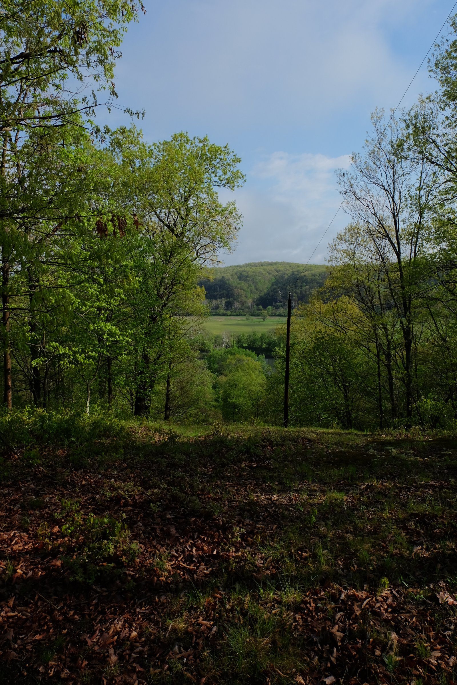A wide valley view from the highest point on the property.