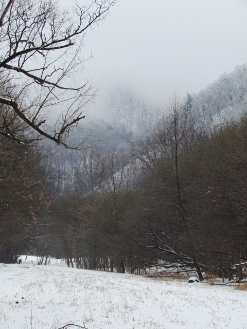 Fog rolling over a snow-covered hillside.